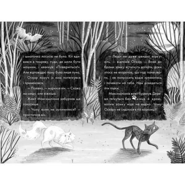 Портрет примари (українською мовою)