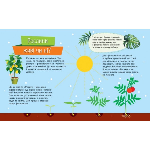 Рослини. Чомусики (українською мовою)