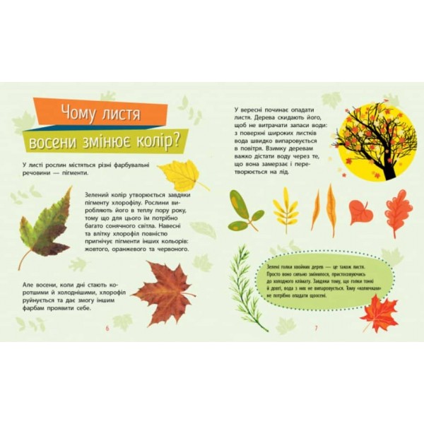 Рослини. Чомусики (українською мовою)