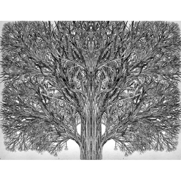 Єдиний Істинний король. Книга 6. Школа Добра і Зла (українською мовою)