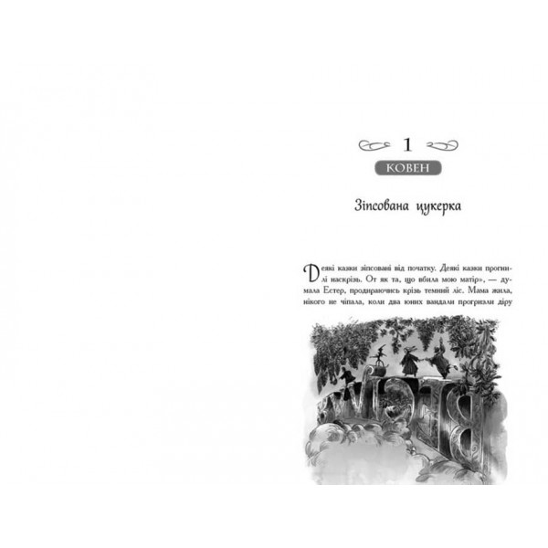Єдиний Істинний король. Книга 6. Школа Добра і Зла (українською мовою)