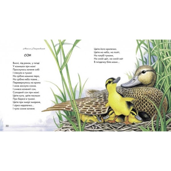 Жовтий гостинець (українською мовою)