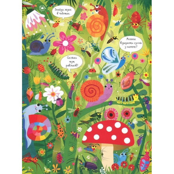 Подивись i знайди. Комахи (українською мовою)