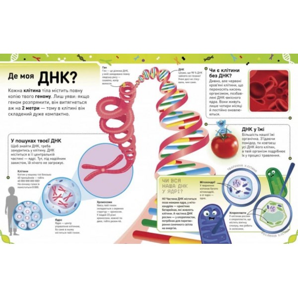 Надзвичайні ДНК. Шалені гени, незламні кодони, верткі хромосоми (українською мовою)