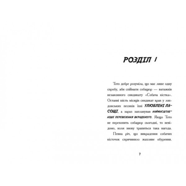 Тото. Кішка-ніндзя і КОТОстрофа суперзірки. Книга 3 (українською мовою)