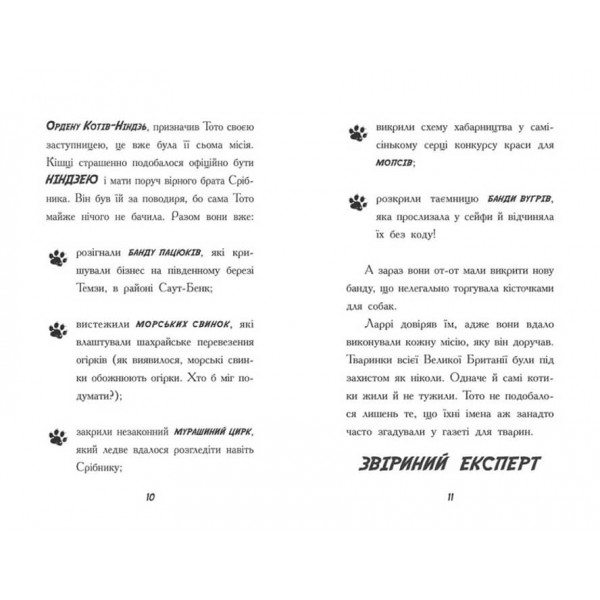 Тото. Кішка-ніндзя і КОТОстрофа суперзірки. Книга 3 (українською мовою)