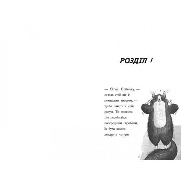 Тото. Кішка-ніндзя та справа про викрадення сиру. Книга 2 (українською мовою)