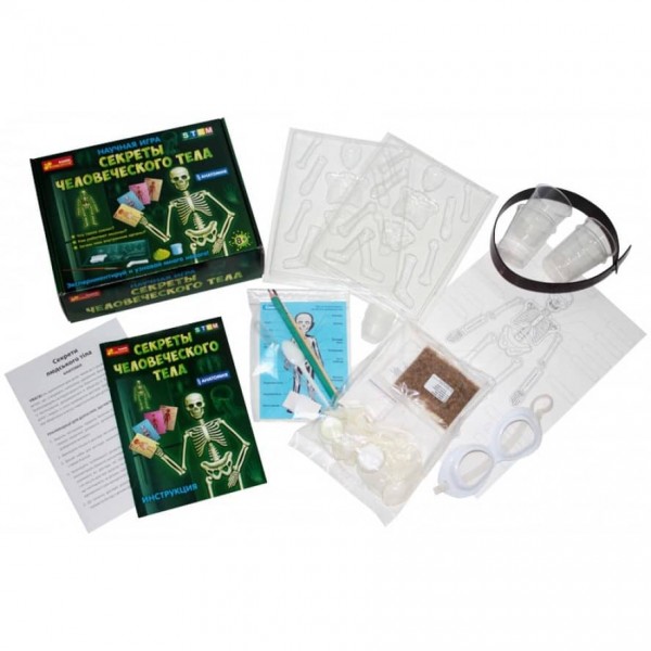 Наукова гра «Секрети людського тіла»