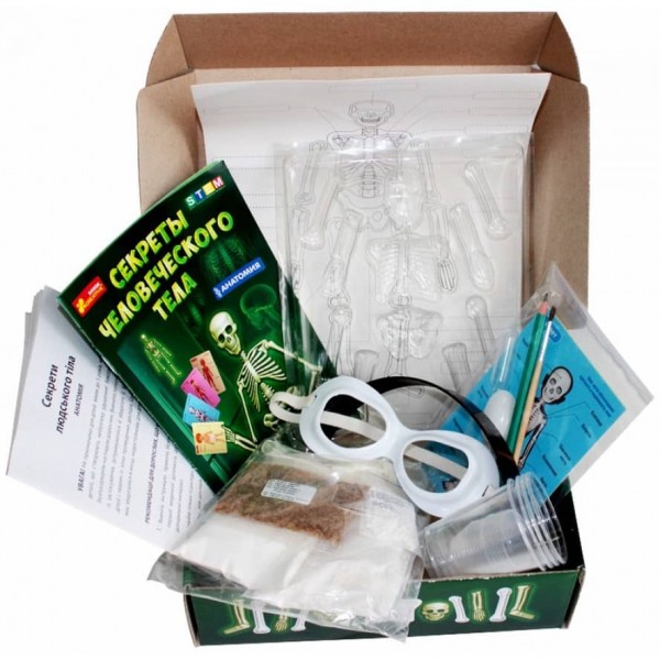 Наукова гра «Секрети людського тіла»