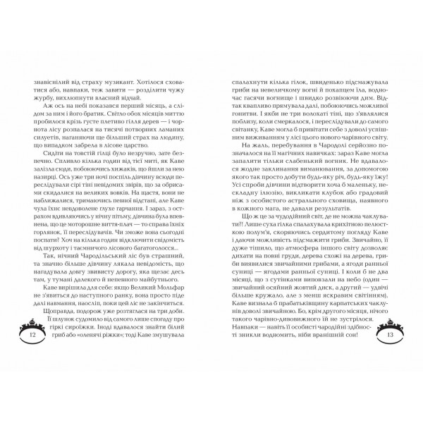 Чароділ. Книга 3. Чародільський град