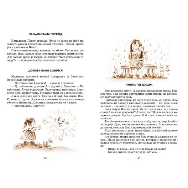 Квітка сонця