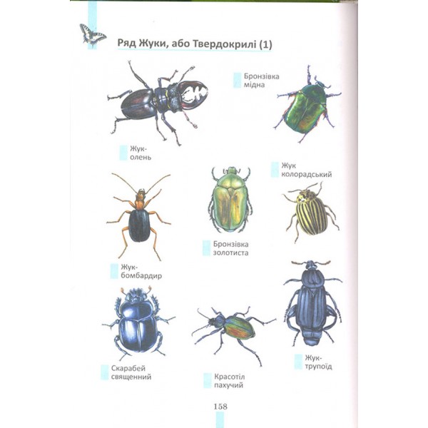 Дивосвіт України. Дика природа