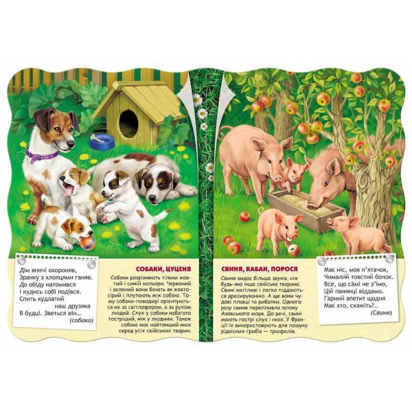  Малятко-розумнятко. Тварини на подвір'ї