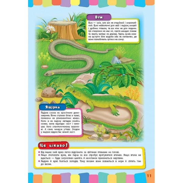 Чудо-наліпки. Доповни малюнок