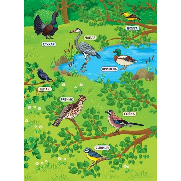 Енциклопедія з наліпками. Лісові тварини та рослини (українською мовою)