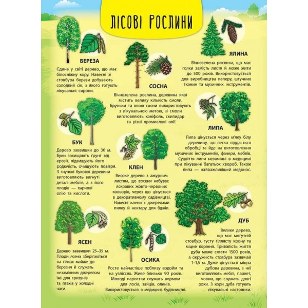 Енциклопедія з наліпками. Лісові тварини та рослини (українською мовою)