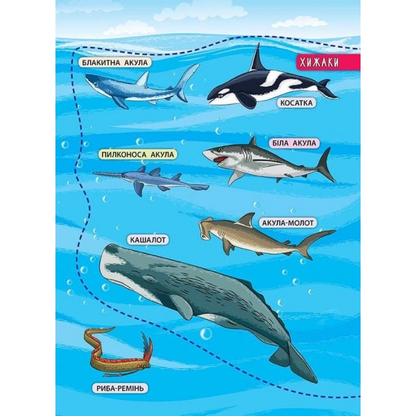 Енциклопедія з наліпками. Мешканці морів та океанів (українською мовою)