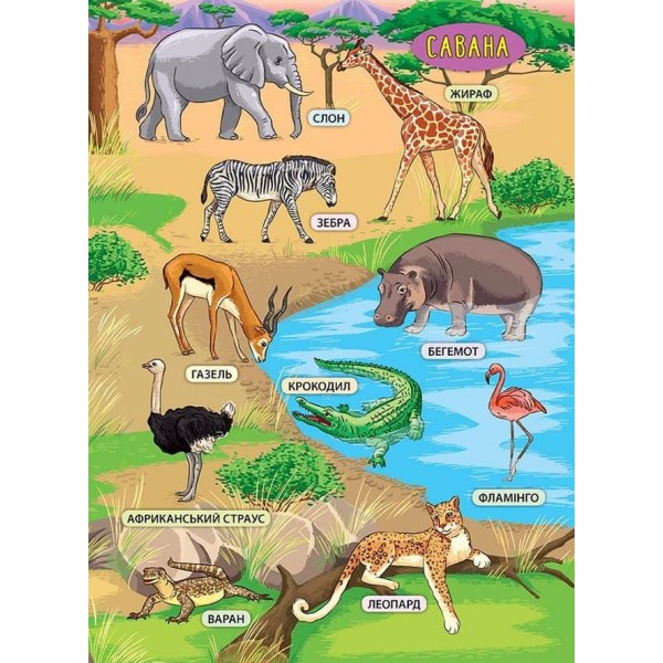 Енциклопедія з наліпками. Тварини світу (українською мовою)