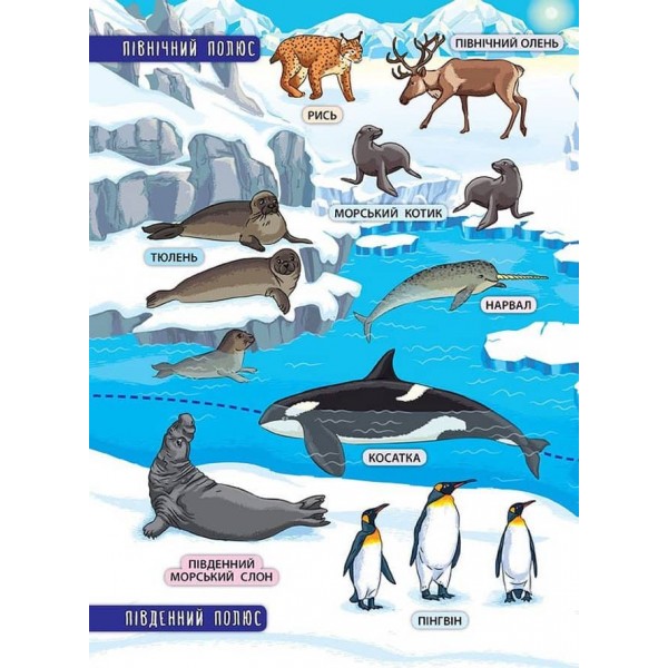 Енциклопедія з наліпками. Тварини світу (українською мовою)