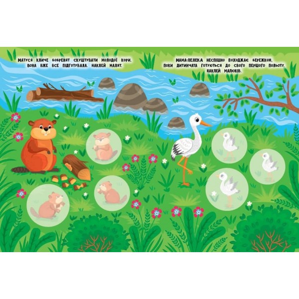 Мами й малюки. Річка й озеро (з наліпками) (українською мовою)