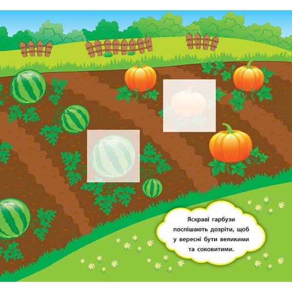 Наліпки-розвивалки. Що росте на городі (українською мовою)