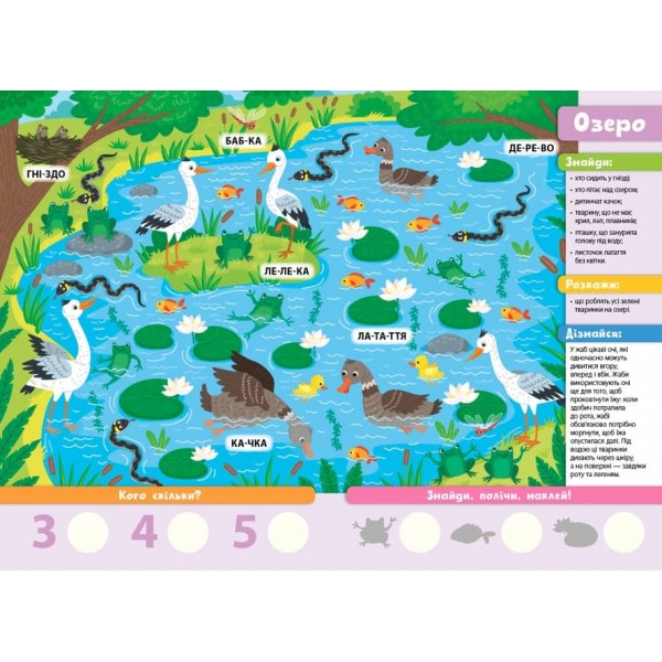 Знайди! Прочитай! Полічи! Лісова родина (з наліпками)