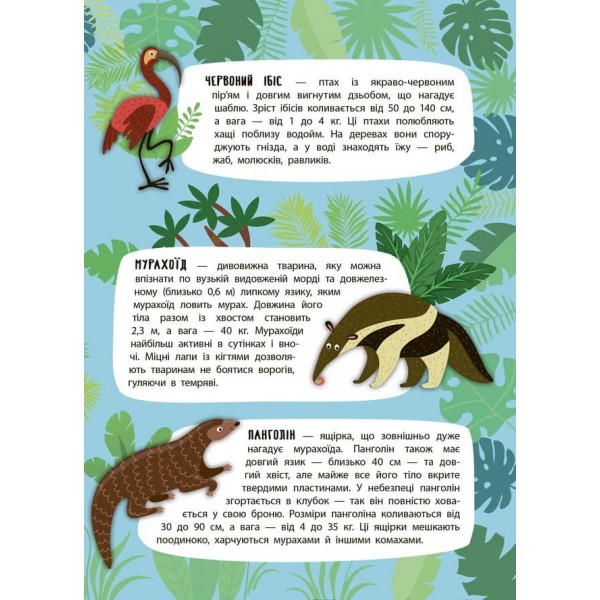 Панорамка-енциклопедія. Дивовижні джунглі (+ багаторазові наліпки) (українською мовою)
