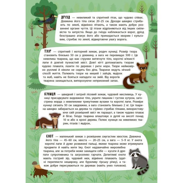 Панорамка-енциклопедія. Таємничий ліс (+ багаторазові наліпки) (українською мовою)
