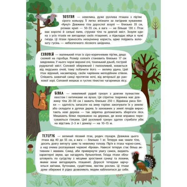 Панорамка-енциклопедія. Таємничий ліс (+ багаторазові наліпки) (українською мовою)