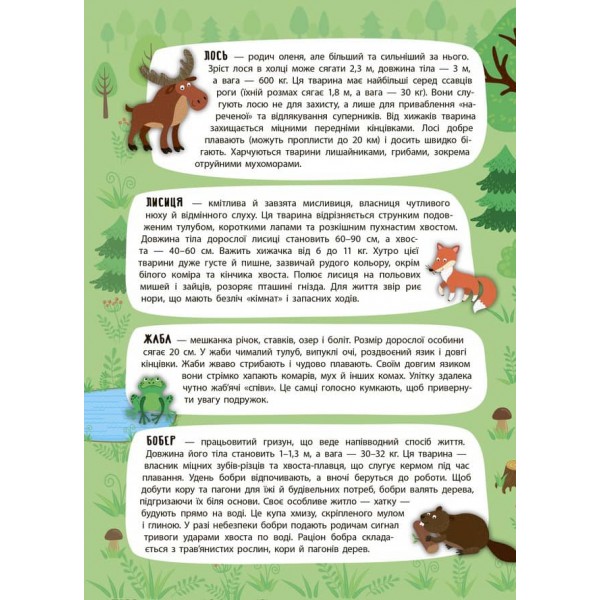 Панорамка-енциклопедія. Таємничий ліс (+ багаторазові наліпки) (українською мовою)