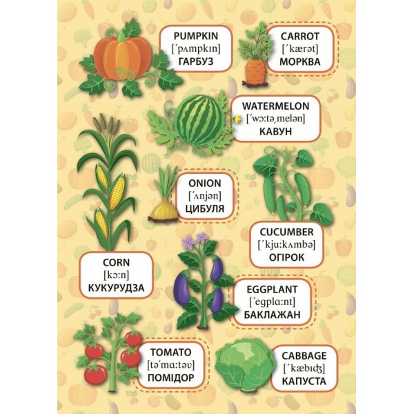 Перші слова. Фрукти та овочі. Fruit and Vegetables (+ наліпки) (українською мовою) (англійською мовою)