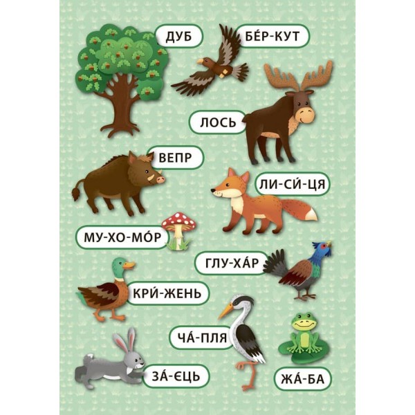 Перші слова. Таємничий ліс (+ наліпки) (українською мовою)