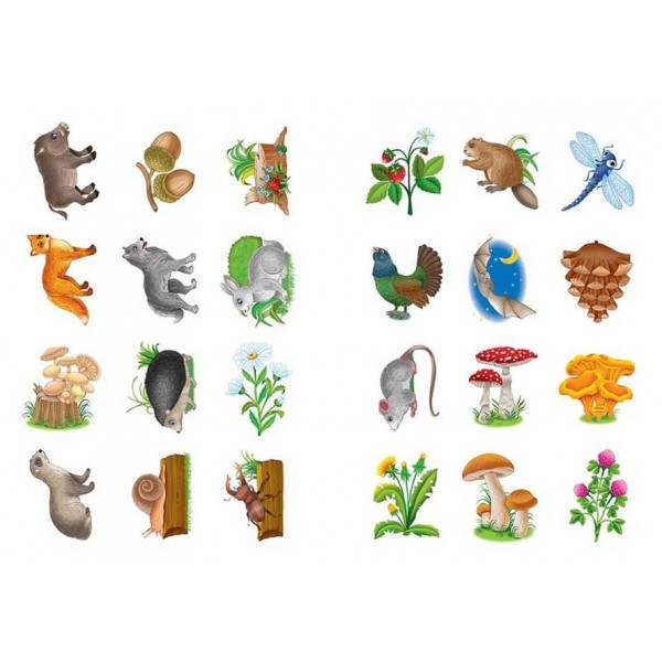 Я читаю по складах. Пригоди в лісі. Книжка з наліпками (українською мовою)