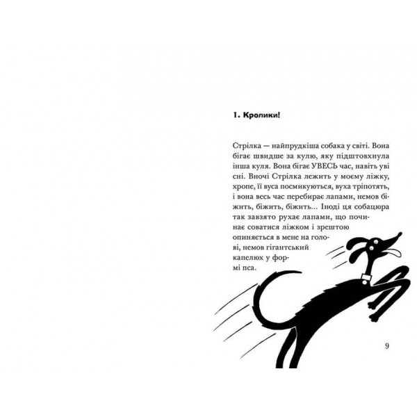 Ракета на чотирьох лапах під прикриттям. Книга 4 (українською мовою)